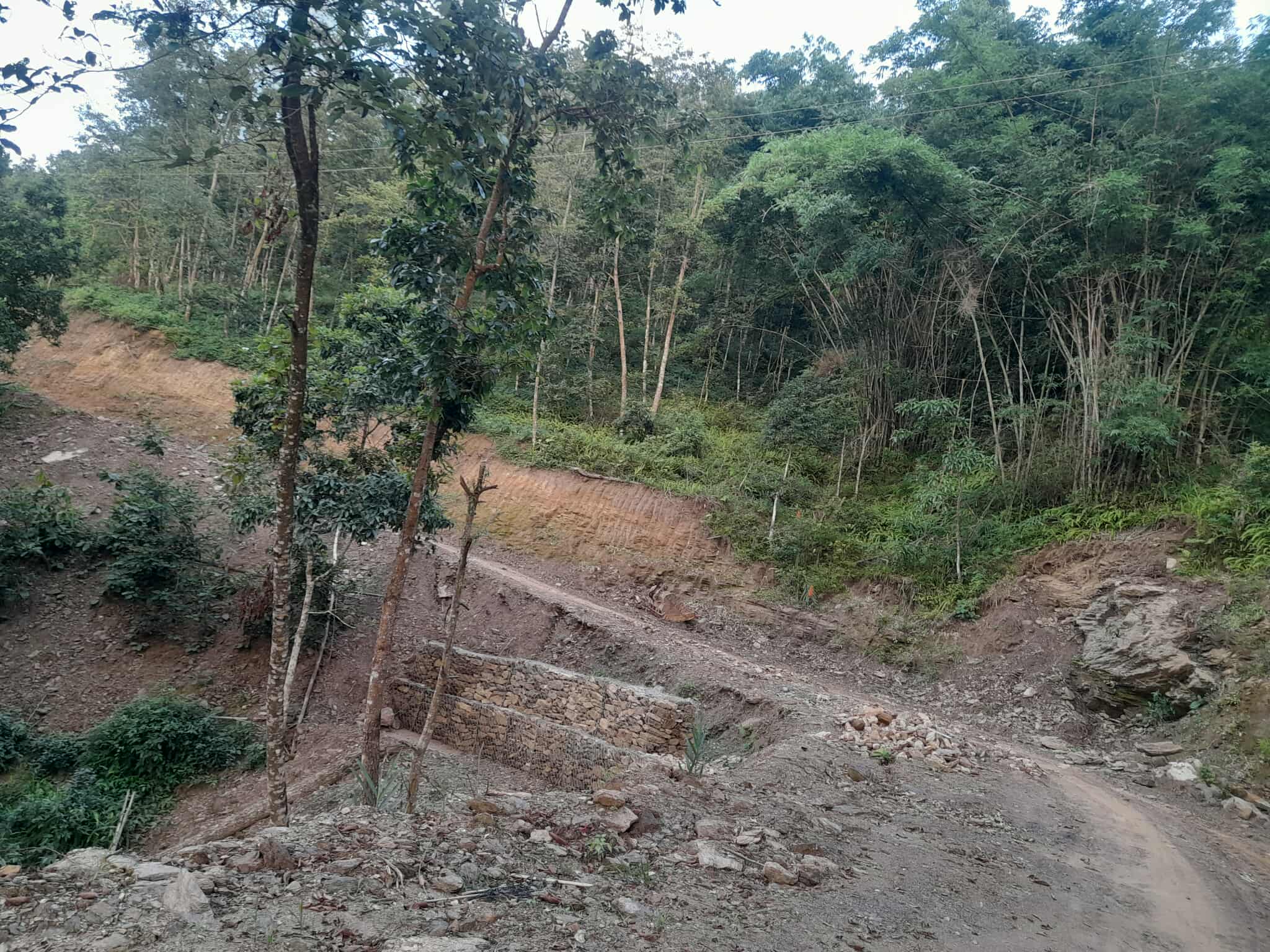 पिपलबोटे कबिलाले सडक स्तरोन्नति अलपत्र, निर्माण व्यावसायीको उल्टै गुनासो