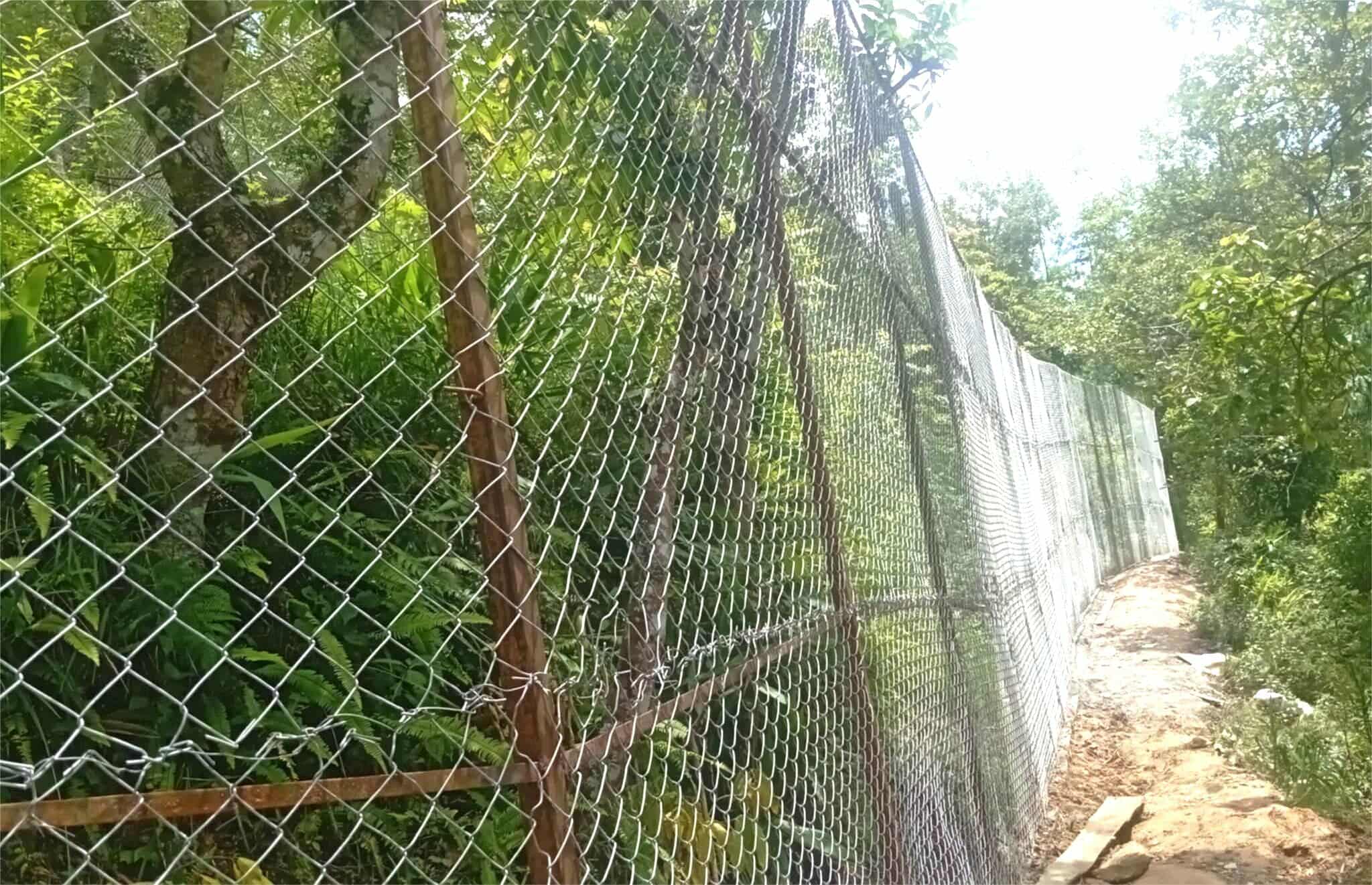उपाध्यक्षको जग्गा लिजमा, ४१ लाख खर्च गर्दै